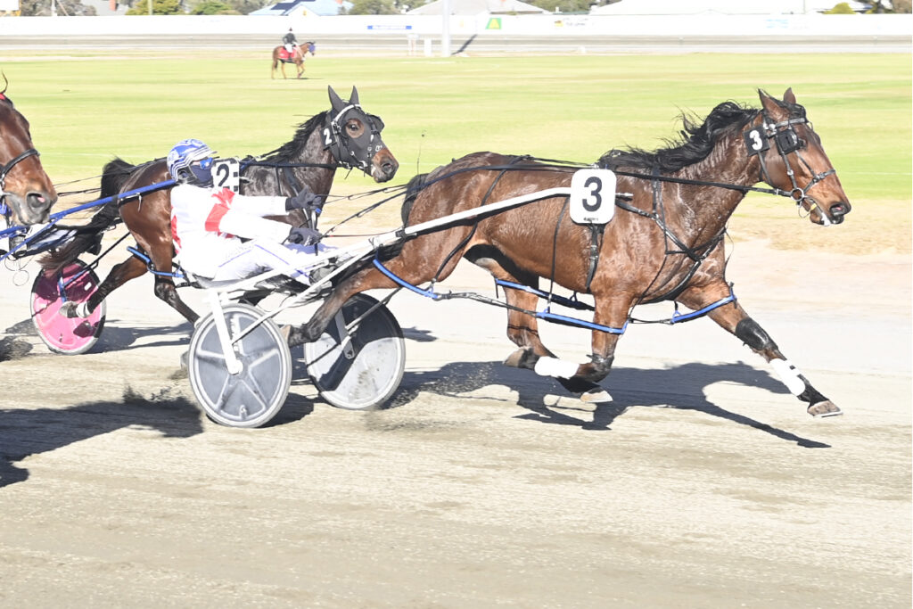 Lombo Mitchinson Too Good In Trayning Cup at CWHRC thumbnail
